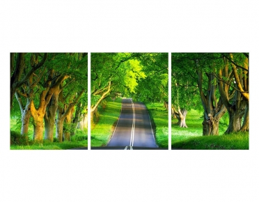تابلوه مودرن - طريق اشجار- 3 قطع  خشب - 50x120