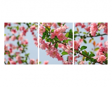 تابلوه مودرن - زهور- 3 قطع -  خشب - 50x120