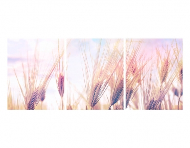 تابلوه مودرن - حقل- 3 قطع  خشب - 50x120