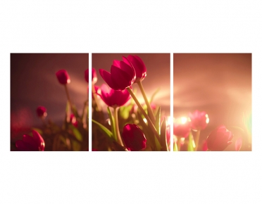 تابلوه مودرن - منظر طبيعي- 3 قطع  خشب - 50x120